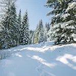 Шале Cosy Pokljuka