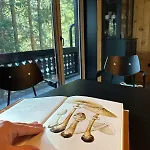 Cosy Pokljuka 샬레 *