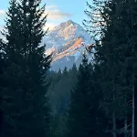 Шале Cosy Pokljuka
