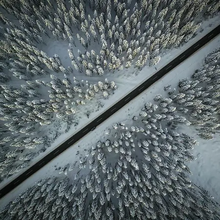 Cosy Pokljuka * Goreljek