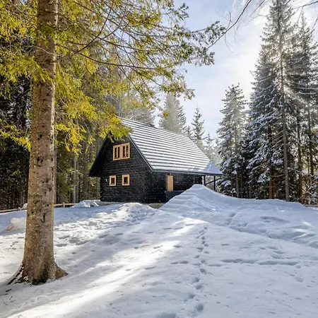 Chalet Cosy Pokljuka *