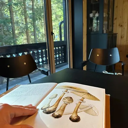 Cosy Pokljuka Chalet *