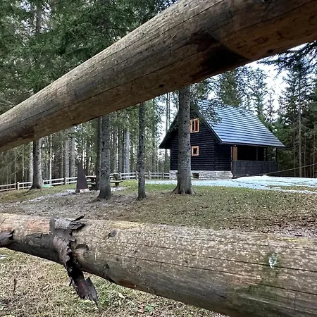 Alpehytte Cosy Pokljuka *