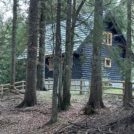 Cosy Pokljuka * Goreljek