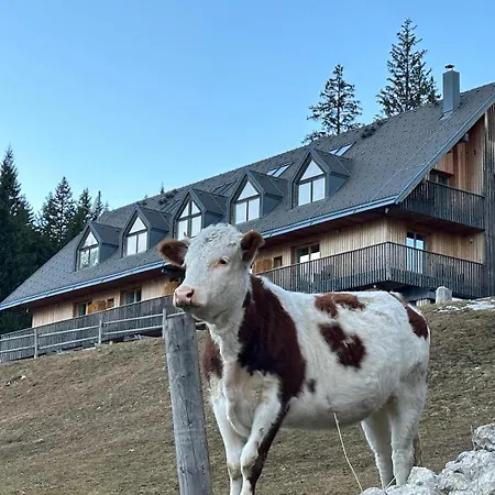 Cosy Pokljuka Chalet