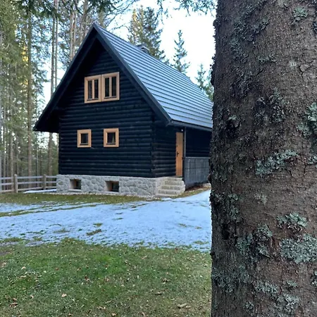 Cosy Pokljuka * Goreljek