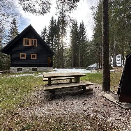 Chalet Cosy Pokljuka *