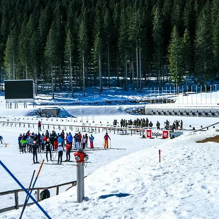 Chalet Cosy Pokljuka *