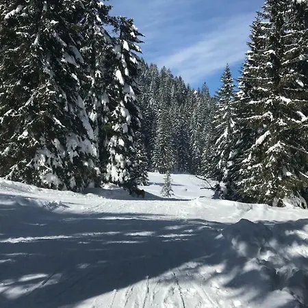 Cosy Pokljuka