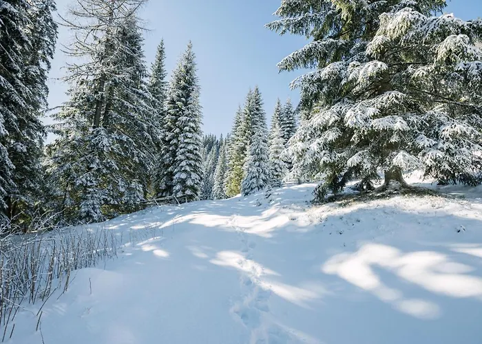 Alpehytte Cosy Pokljuka