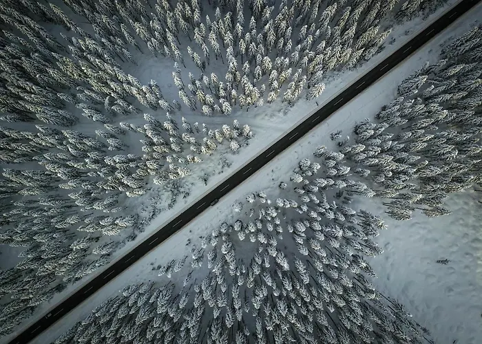 Cosy Pokljuka * Goreljek