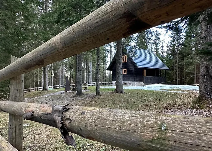 Alpehytte Cosy Pokljuka *
