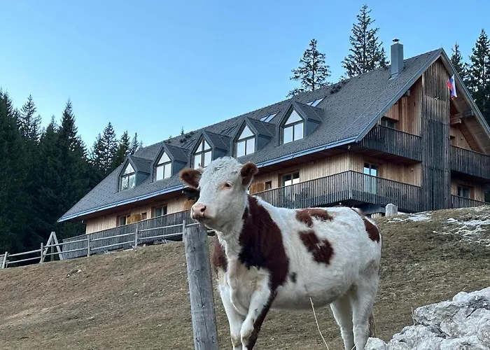 Cosy Pokljuka シャレー