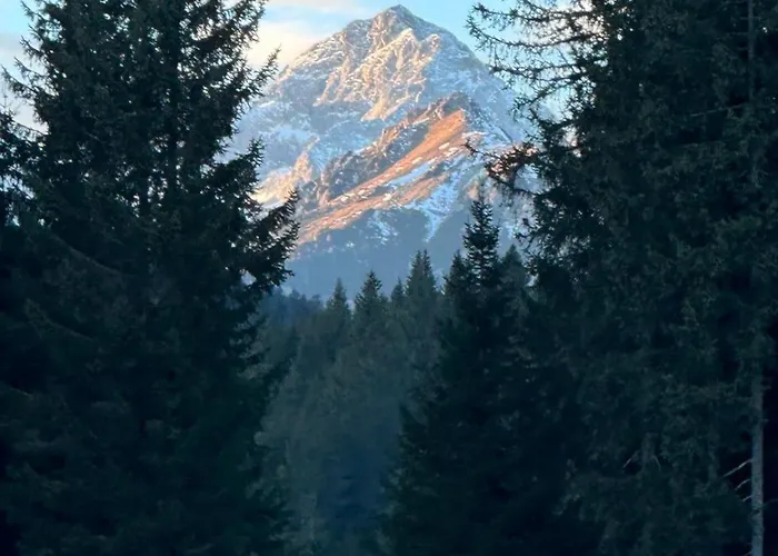 Alpehytte Cosy Pokljuka