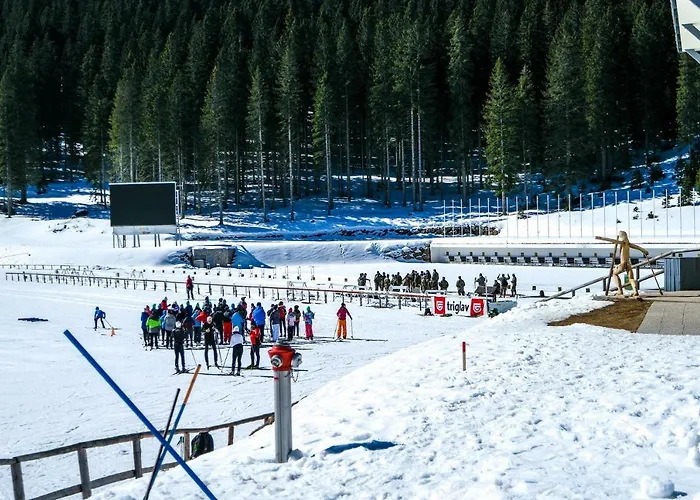 Alpehytte Cosy Pokljuka *